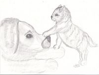 Rover and Kiwi